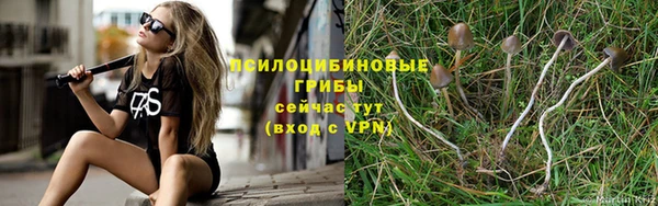 шишки Армянск