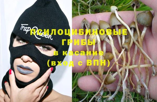 гидропоника Арсеньев