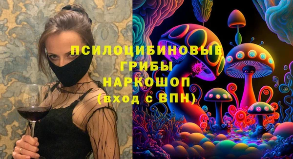 шишки Армянск
