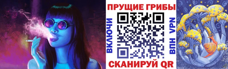 Псилоцибиновые грибы Cubensis  где найти наркотики  Благодарный 